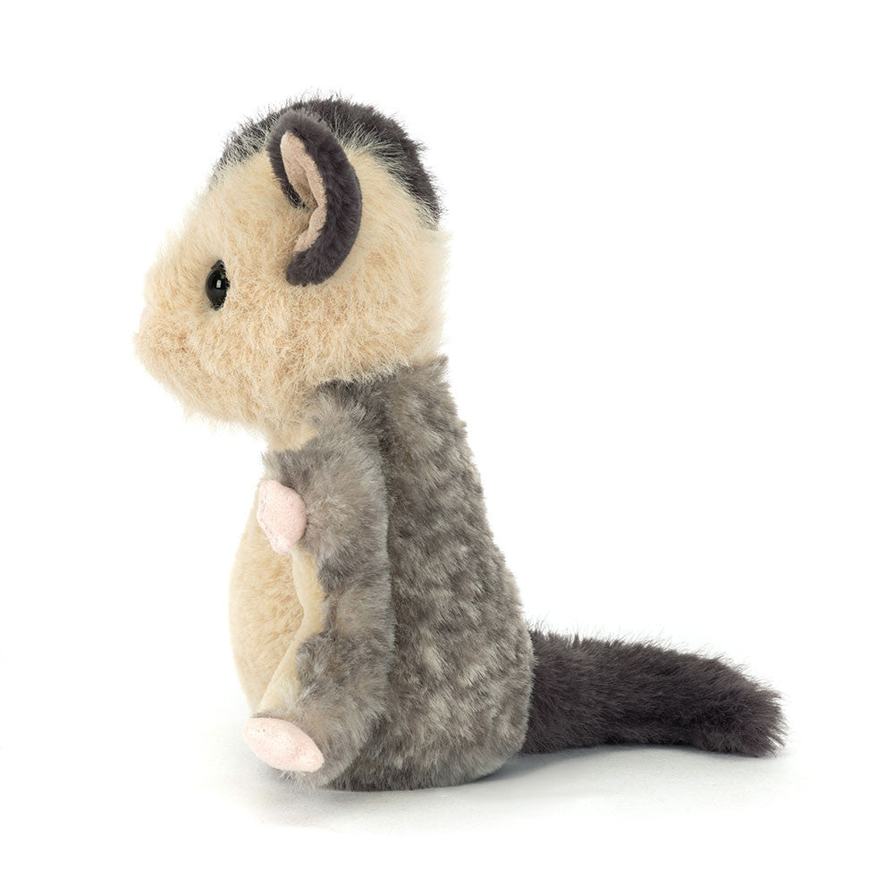 Sugar Glider