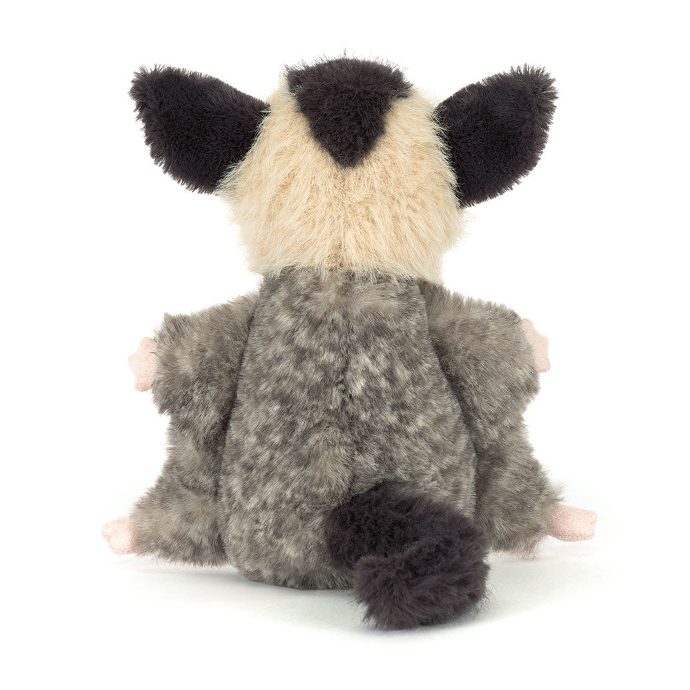 Sugar Glider