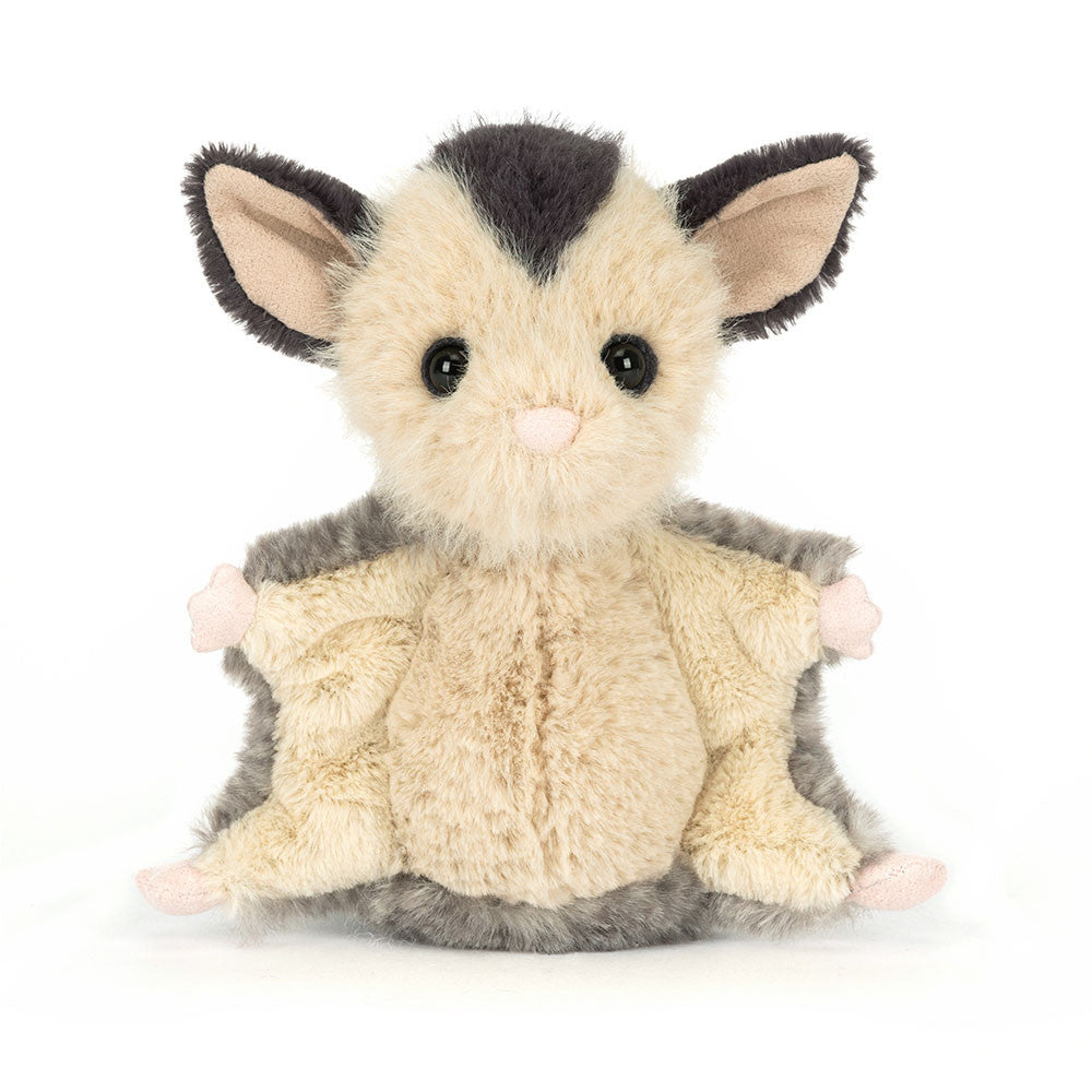 Sugar Glider