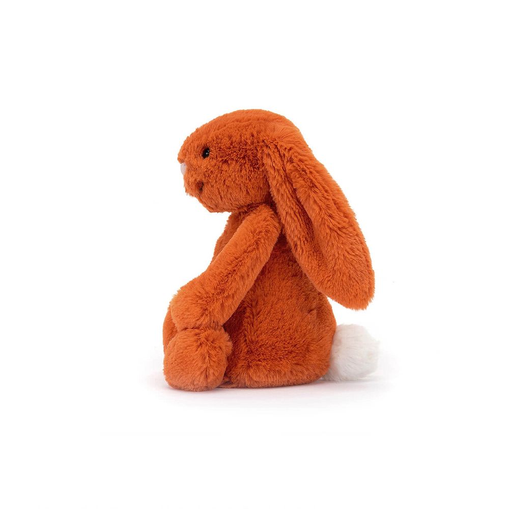 Bashful Tangerine Bunny