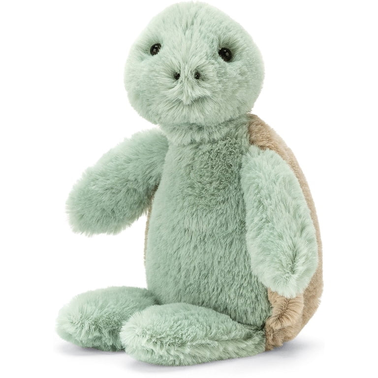 Bashful Turtle
