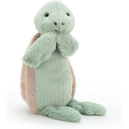 Bashful Turtle