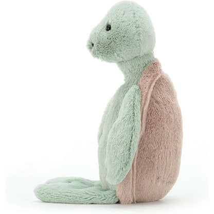 Bashful Turtle