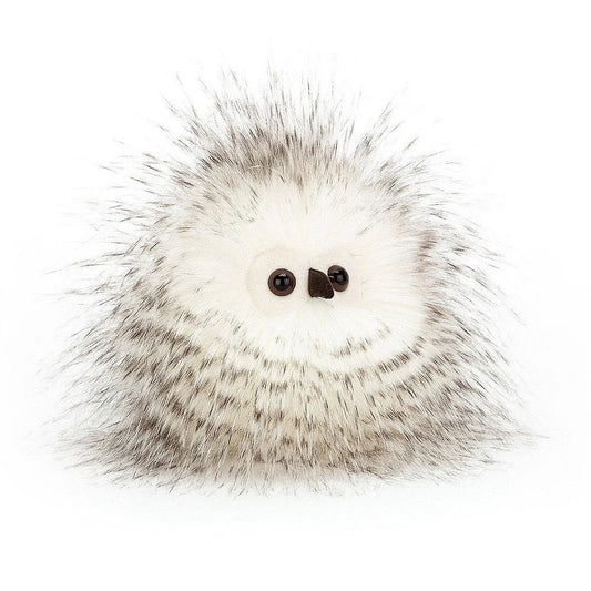 Bertie Owlet